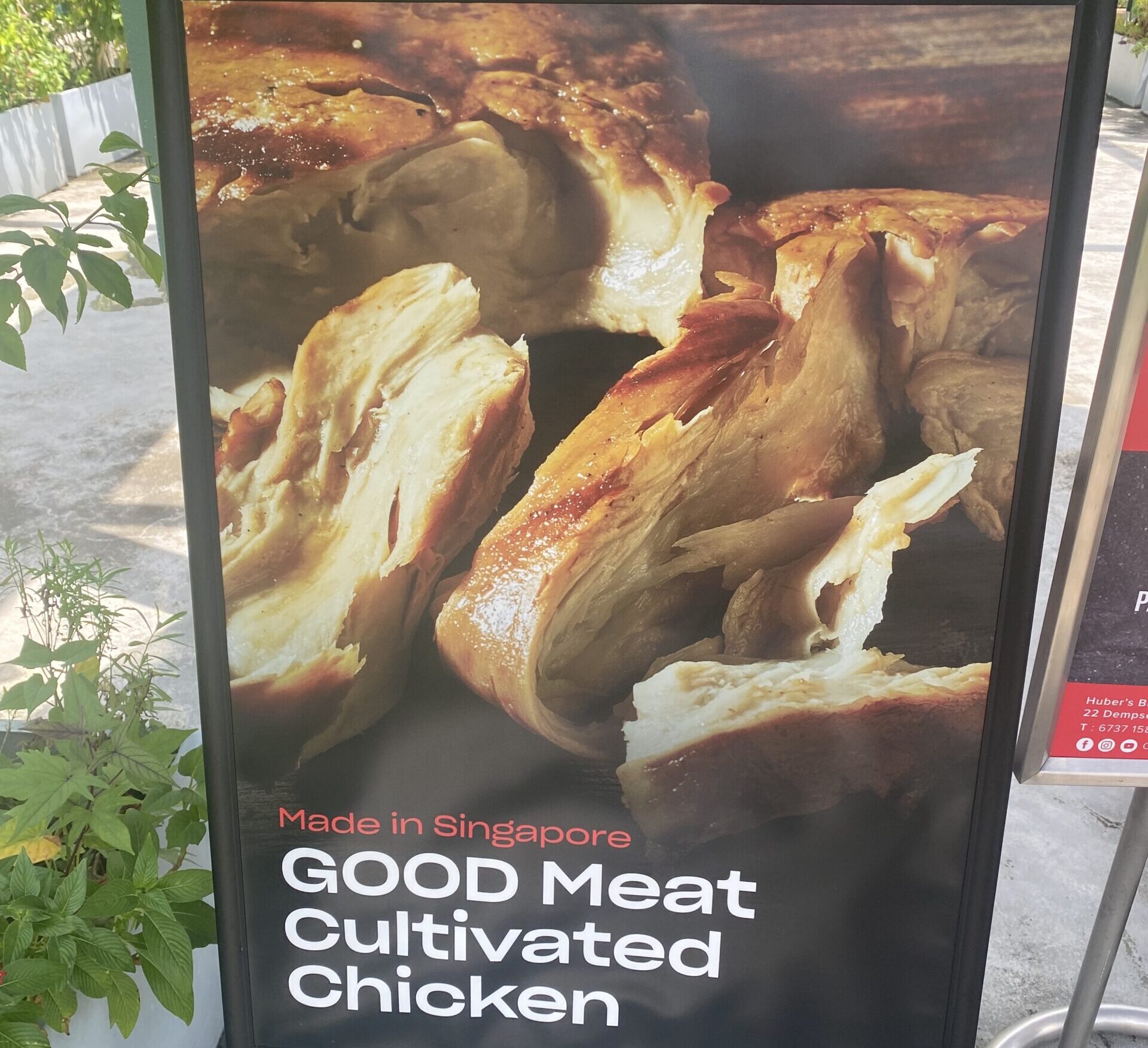 carne coltivata singapore
